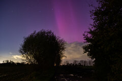 Image made by Vancanneyt Sander