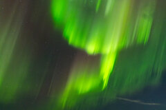 Image made by Vancanneyt Sander