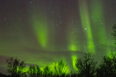 Image made by Vancanneyt Sander