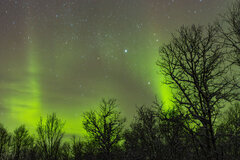 Image made by Vancanneyt Sander