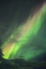 Image made by Vancanneyt Sander