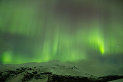 Image made by Vancanneyt Sander