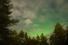 Image made by Vancanneyt Sander