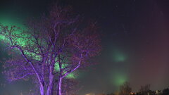 Image made by Katrin